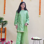 Pari Pistachio Kurta Set